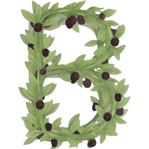 Bramble app icon